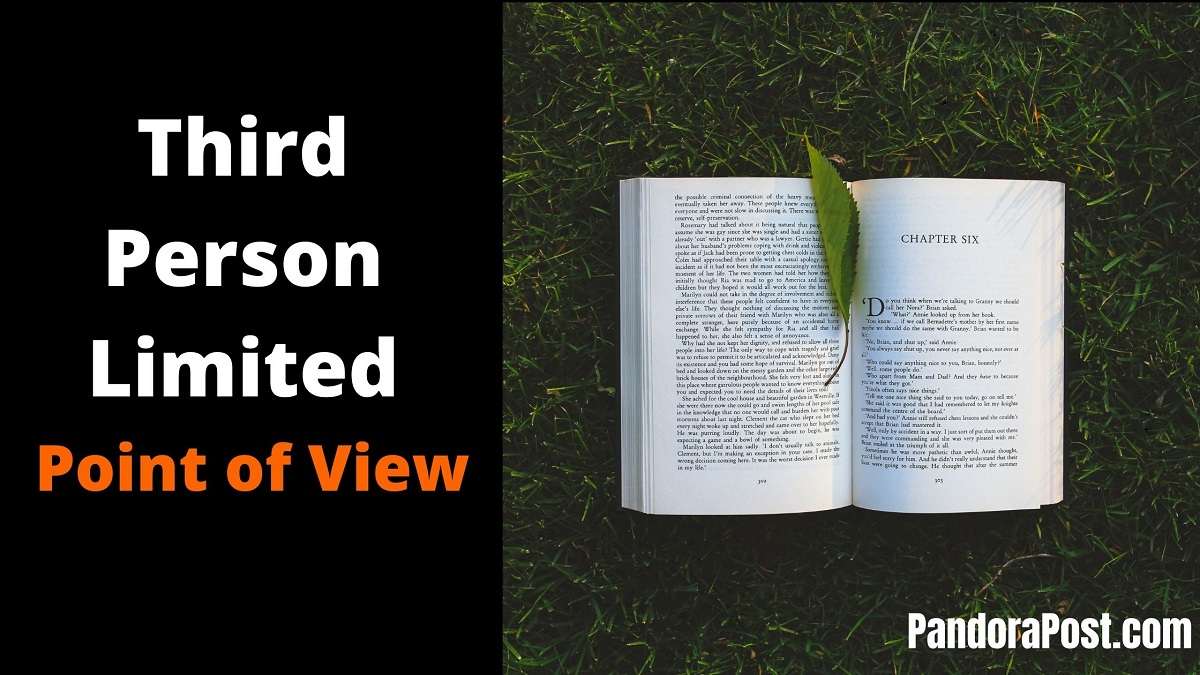 Third Person Limited Point Of View Definition Examples In Literature 